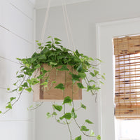 DIY Hanging Planter Plans